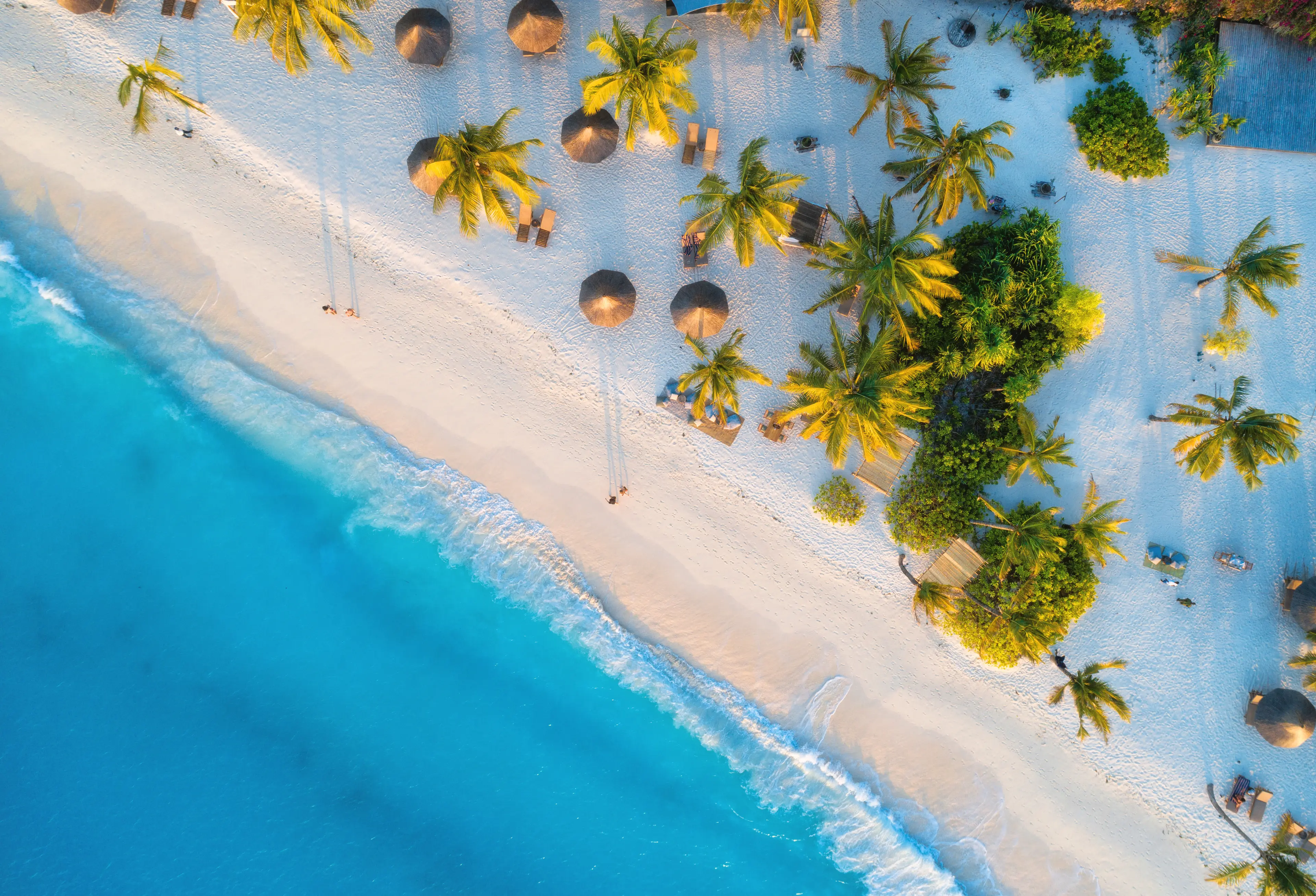 Aerial tropical shoreline